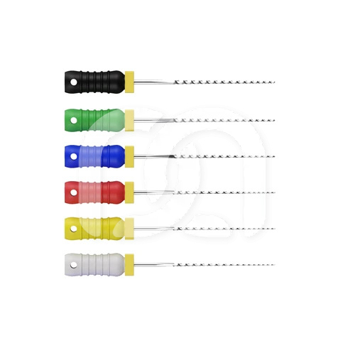 Broches Endodontiques Manuelles Long. 21 mm (6)