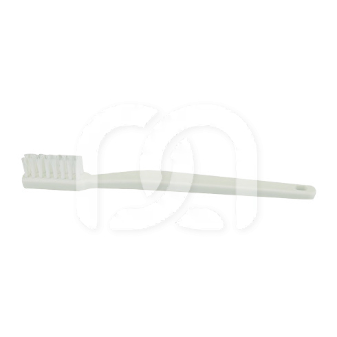 Brosse à dents pour modèle de démonstration