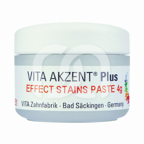 AKZENT PLUS - LE POT DE 4 G DE EFFECT STAINS