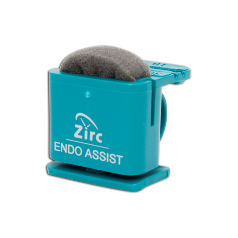 ENDO ASSIST